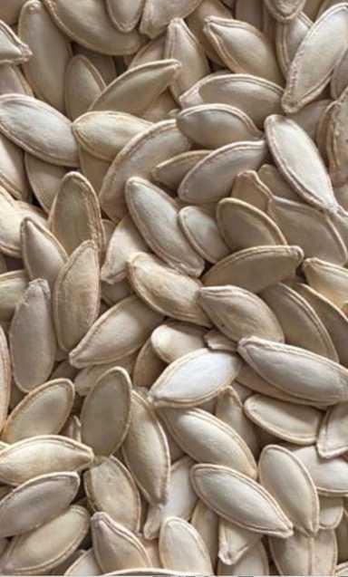 Turkish Kernels - لب كوسة تركي