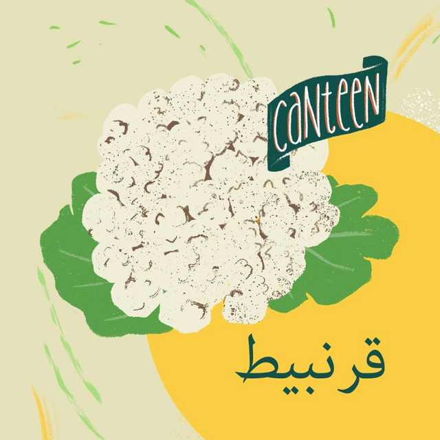 قرنبيط طازج