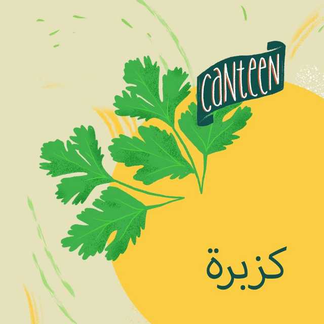 كزبرة طازجة