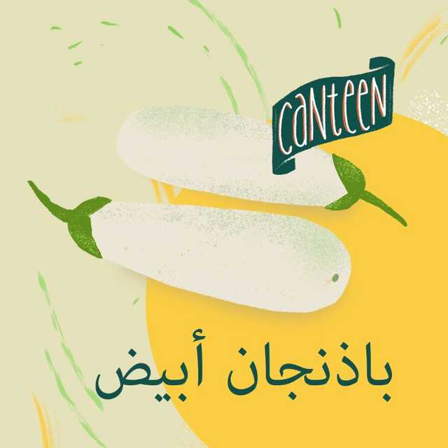 باذنجان أبيض