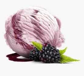 Moevenpick Blackberry 2x5 L
