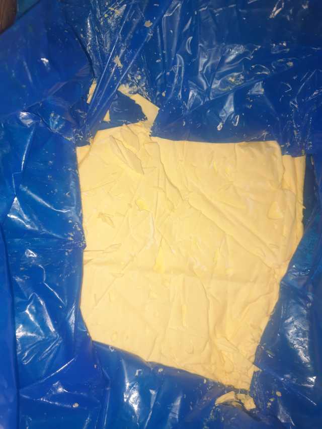 First cow