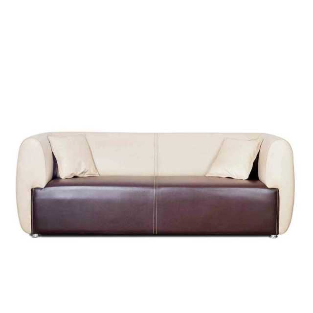 Modern Black Sofa